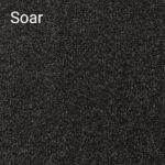 Soar