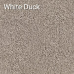 White Duck