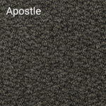 Apostle