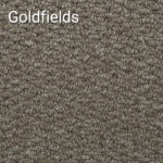 Goldfields