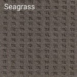 Seagrass