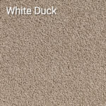 White Duck