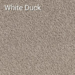 White-Duck