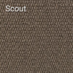 Scout