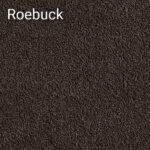 Roebuck